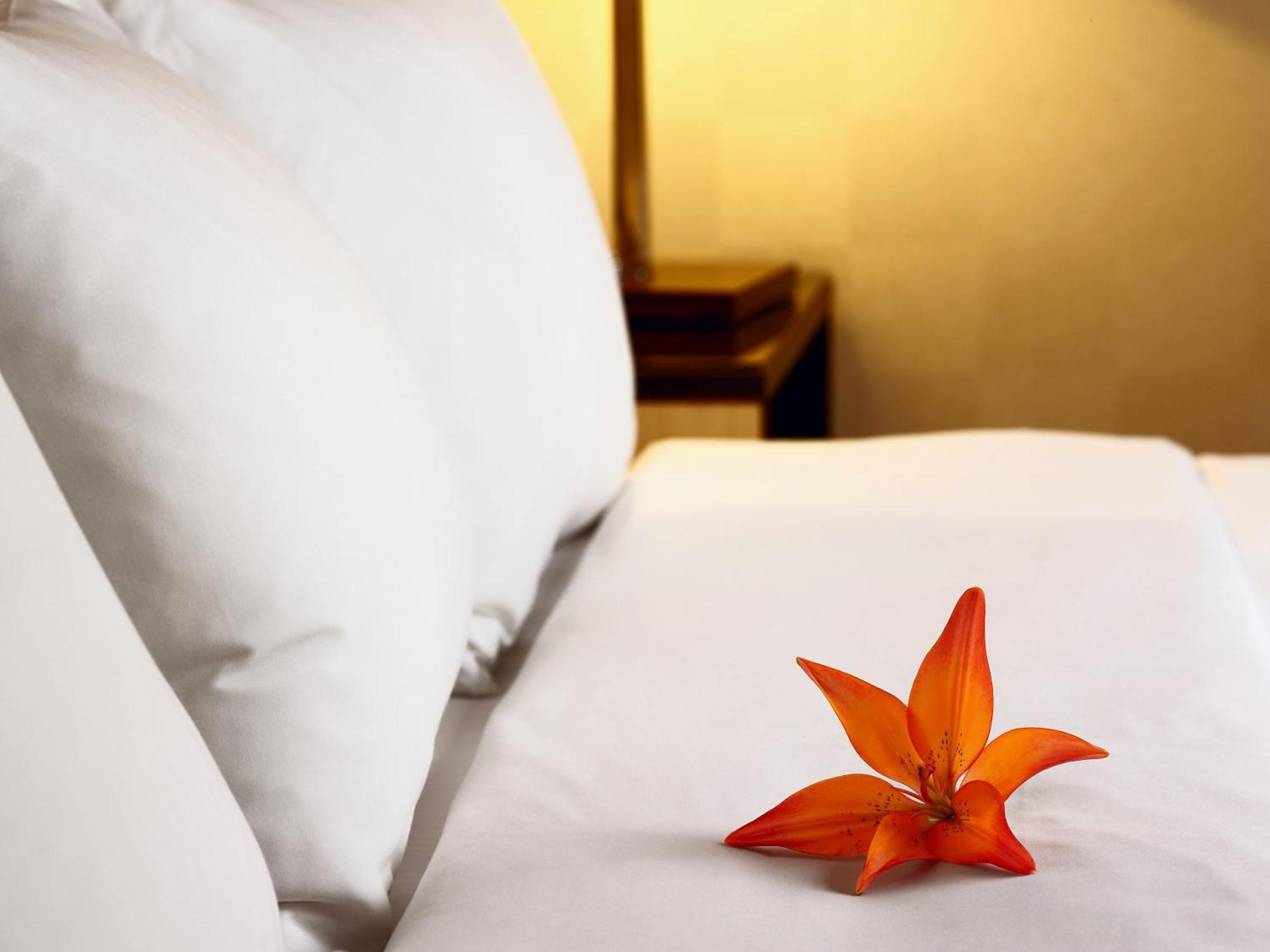 Hotel Acadia Quebec City Ngoại thất bức ảnh
